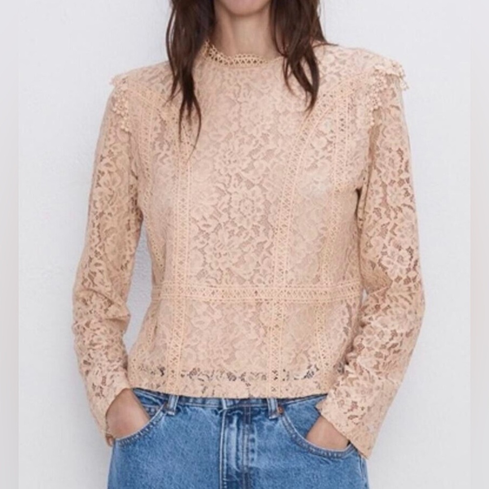 Delicate Lace Crewneck Blouse - Blush , Zara